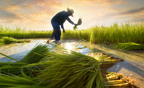 市場(chǎng)驗(yàn)證，值得信賴(lài)